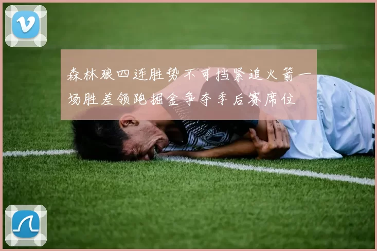 森林狼四连胜势不可挡紧追火箭一场胜差领跑掘金争夺季后赛席位