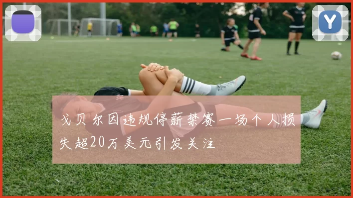 戈贝尔因违规停薪禁赛一场个人损失超20万美元引发关注